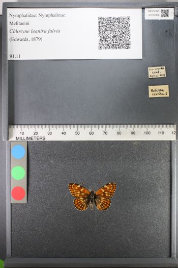 Media type: image;   Entomology 100306